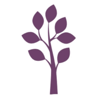 Bran 4 Prp Bran 4 Prp